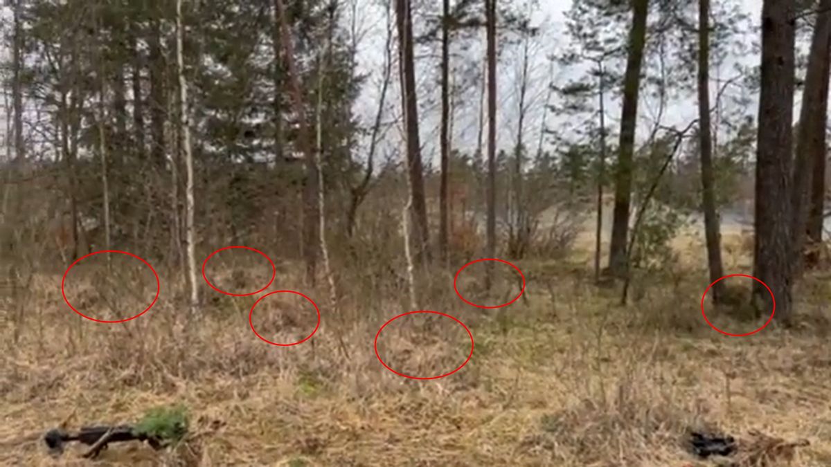 Ukraińcy doskonalą sztukę maskowania w terenie