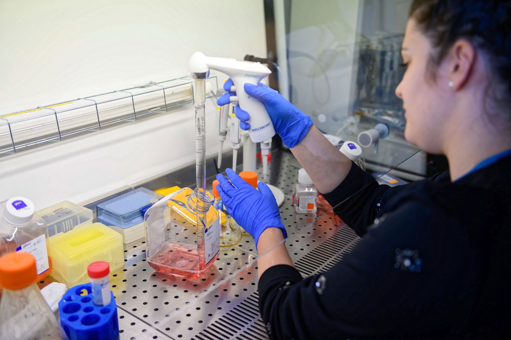 Biznes Inno-Gene zainteresował dużego gracza światowego rynku farmaceutycznego.