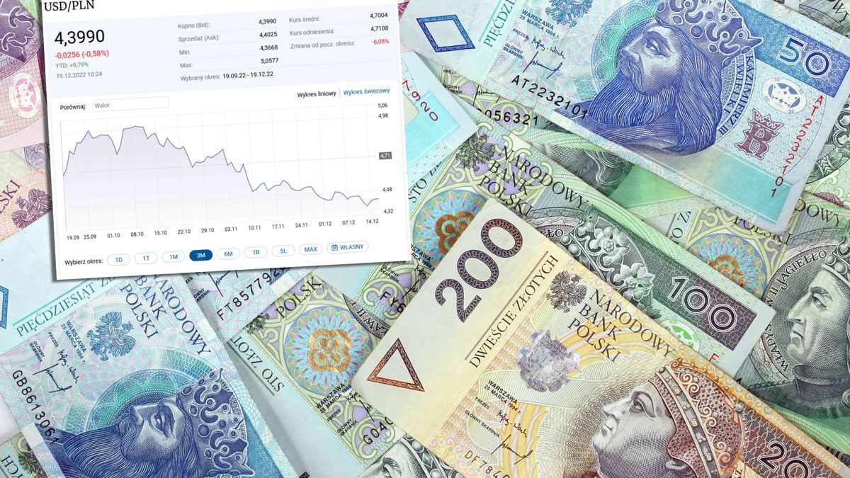 Złoty w ostatnich miesiącach umacnia się do dolara, ale od początku 2022 r. dalej traci do niego blisko 10 proc.