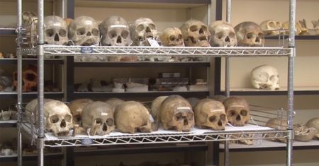 USA. Niemoralna kolekcja w muzeum. Władze placówki przepraszają