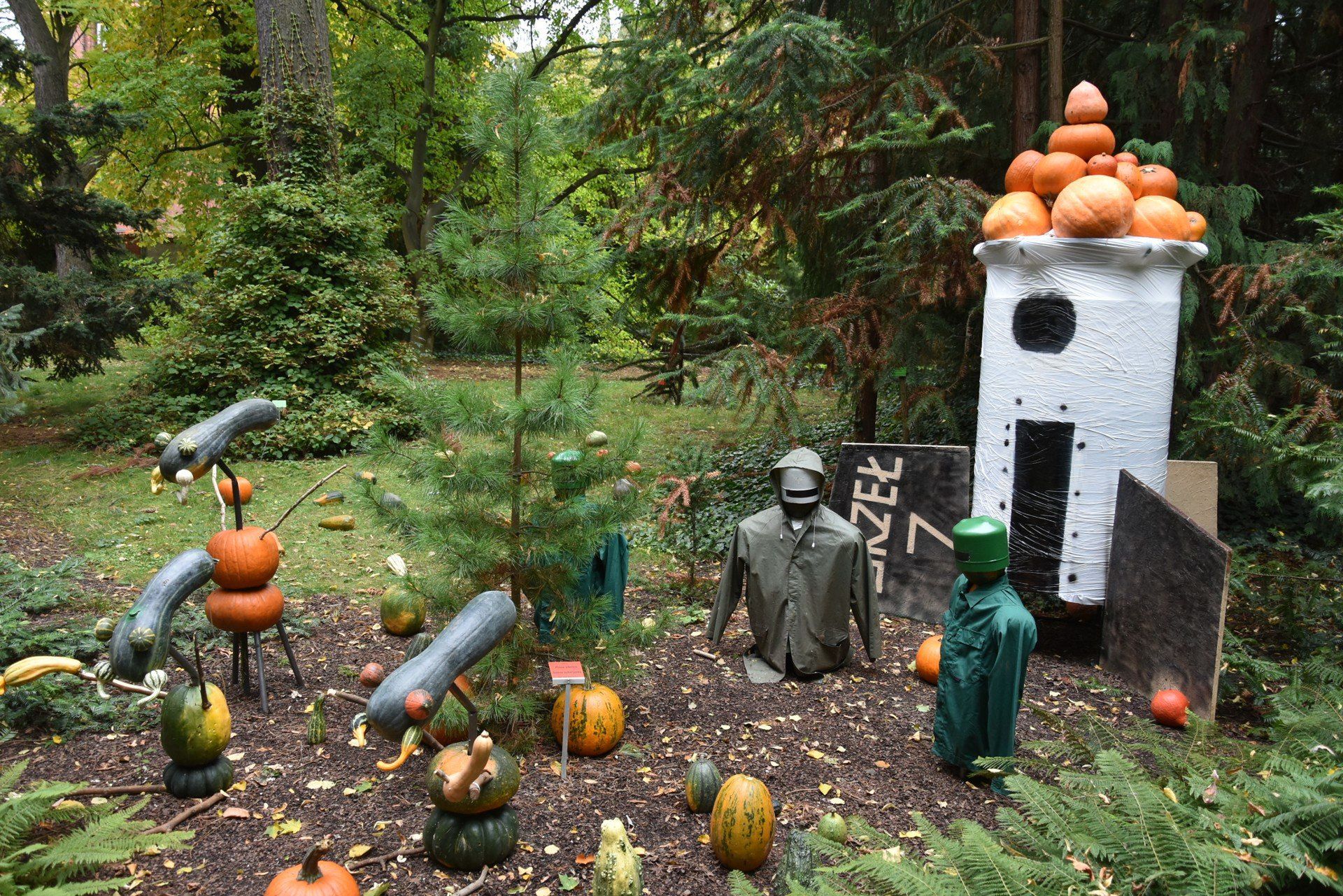 Dynie w Ogrodzie Botanicznym