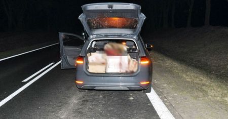 Zwierzę wpadło do auta. Ranny kierowca w wypadku pod Biłgorajem