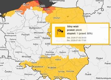 Ostrzeżenie IMGW dla powiatu płockiego. Silny wiatr w porywach do 75 km/h