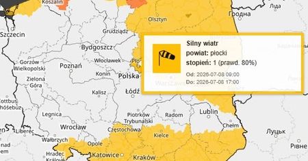 Ostrzeżenie IMGW dla powiatu płockiego. Silny wiatr w porywach do 75 km/h