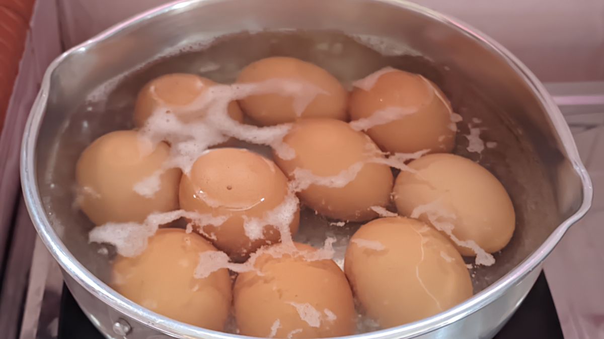 boiled eggs with still boiling water in a stainless pan
boiled eggs with still boiling water in a stainless pan
YNG Pictures