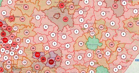 Koronawirus w Polsce. Jak Kolbuszowa obroniła się przed epidemią. Już w marcu uszyli sobie maseczki