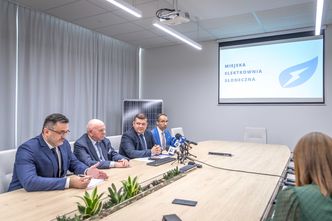 Gorzów Wlkp. postawi na OZE. Miasto zbuduje własną elektrownię słoneczną