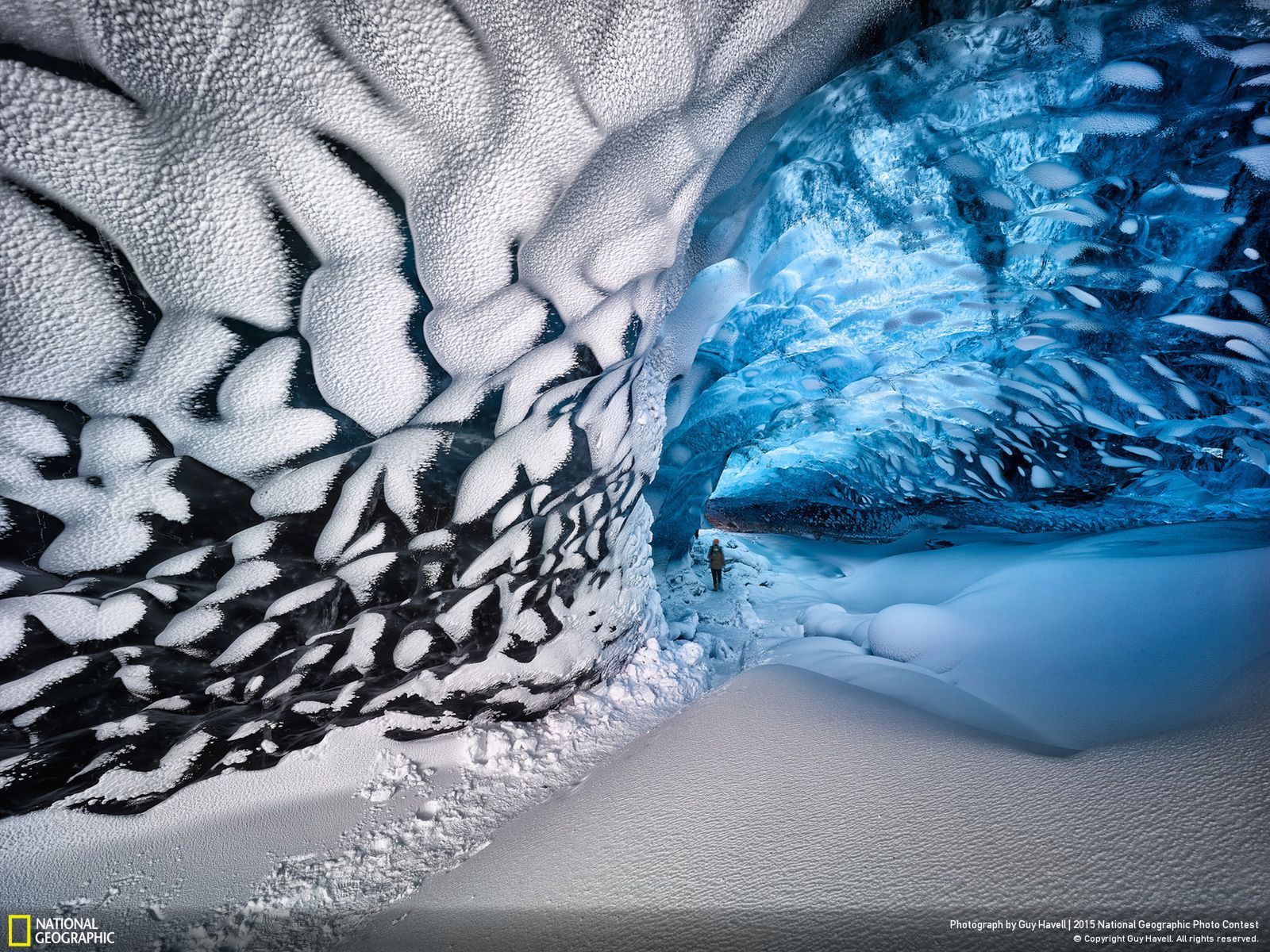 Zachwycają przyroda, czyli najlepsze zgłoszenia National Geographic Photo Contest 2015 6