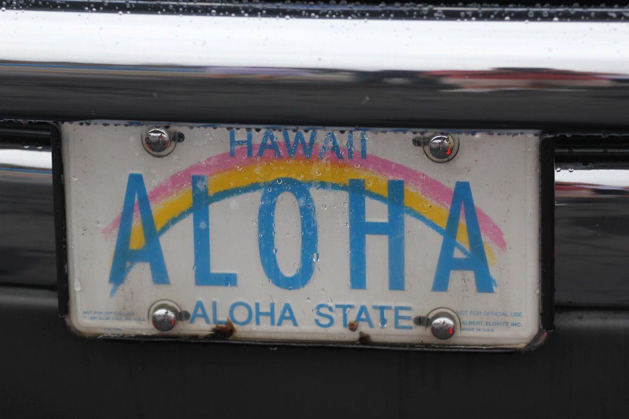 licenseplateswdc10-47