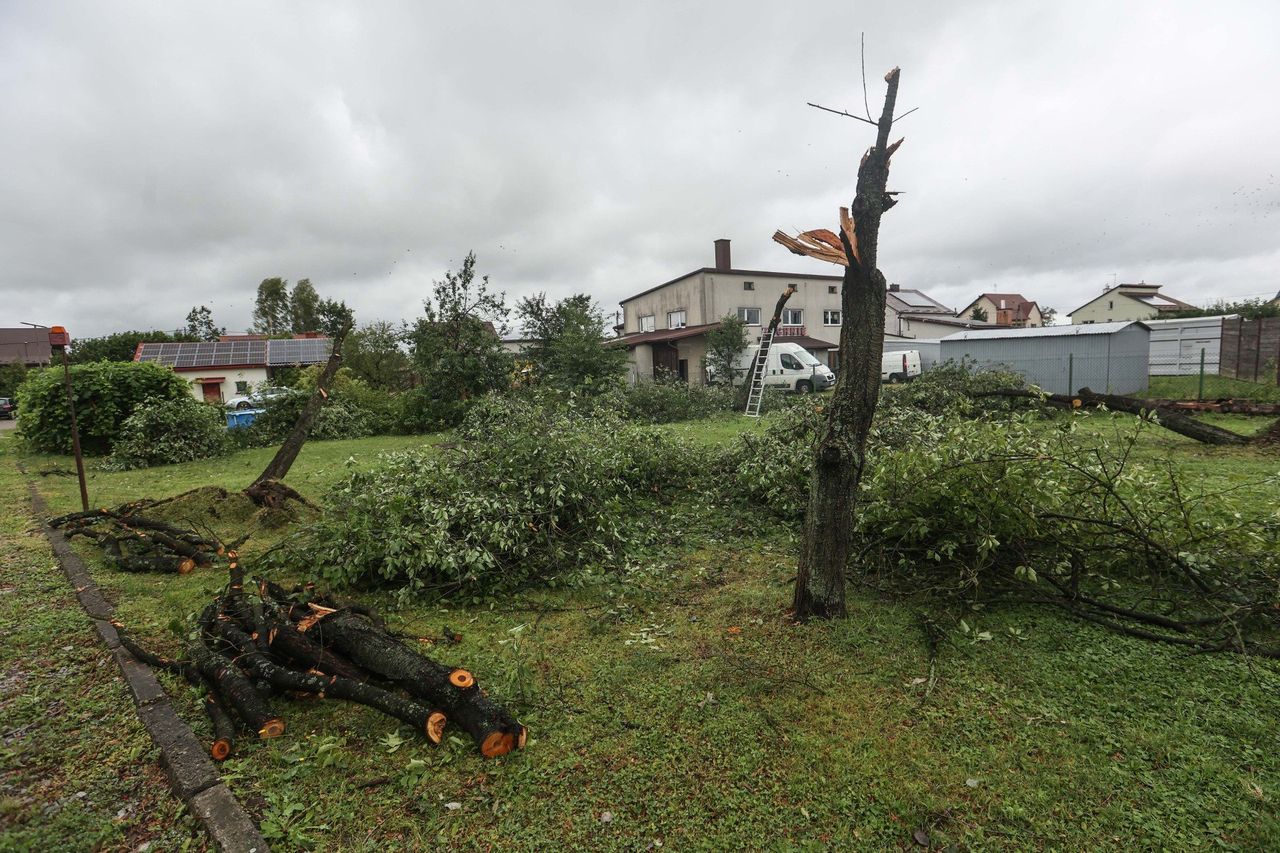 Rzeszów: Gorący lipiec dla Państwowej Straży Pożarnej na Podkarpaciu