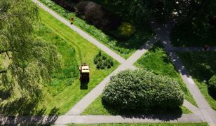 Awantura o koszenie w miastach. Miały być łąki, ale sprzęt poszedł w ruch