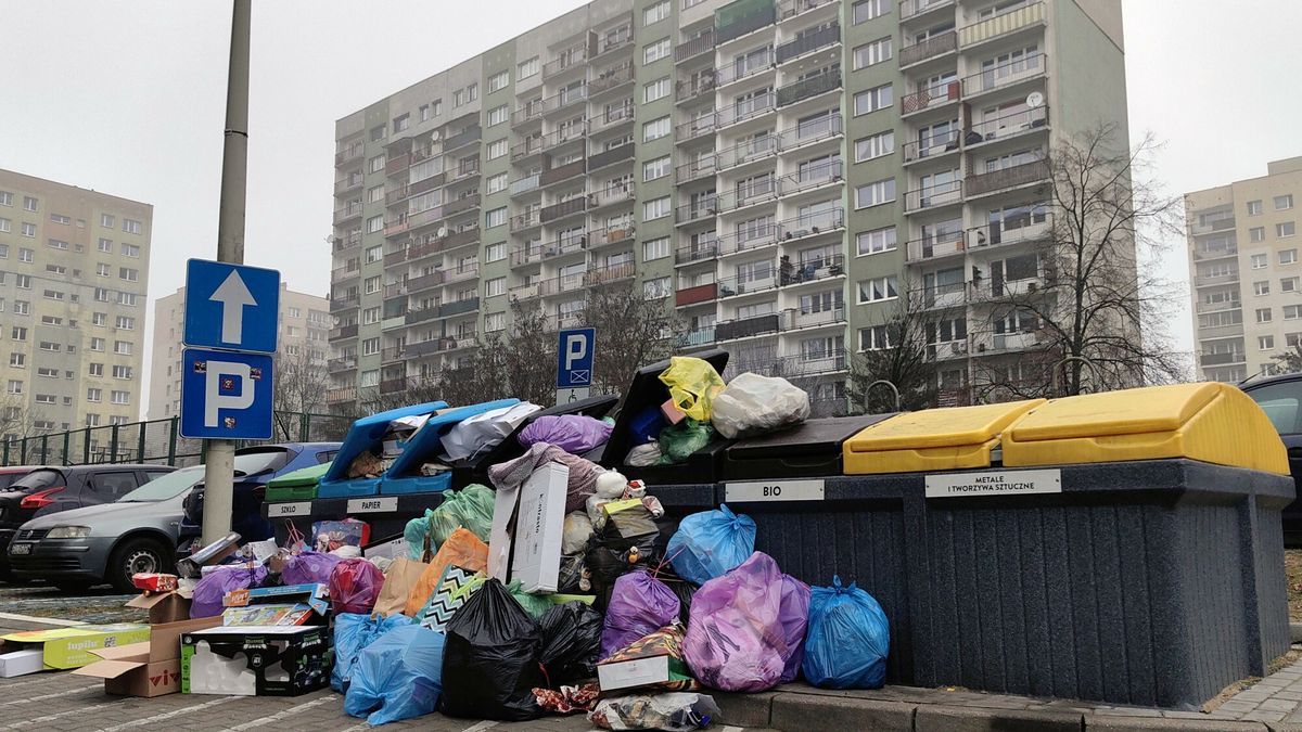 Po?wi?teczny parali? odpad�w - ?mietniki p?kaj? w szwach
Fot. Andrzej Zbraniecki / East News Lodz 26-12-2025 
 
  Drugi dzien swiat przyniosl powazne problemy z odbiorem odpadow. Na wielu osiedlach smietniki sa przepelnione, a worki z odpadami gromadza sie na zewntrz, tworzac nieestetyczne i uciazliwe dla mieszkancow haldy
Andrzej Zbraniecki