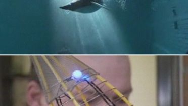 Latające pingwiny i interaktywna architektura - tak wyglądają teraz roboty (wideo) 1