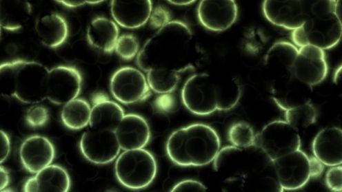 Wybuchowa terapia w skali nano 1