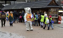 Ona też spotkała "misia". "Facet zaczął grzebać w futrze"