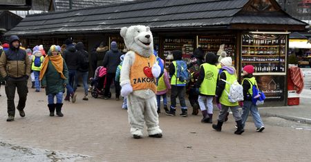 Ona też spotkała "misia". "Facet zaczął grzebać w futrze"