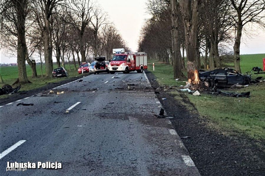 Wypadek na trasie Licheń - Strzelce Krajeńskie. To na tym odcinku kierowca z nieznanych przyczyn uderzył w przydrożne drzewo.