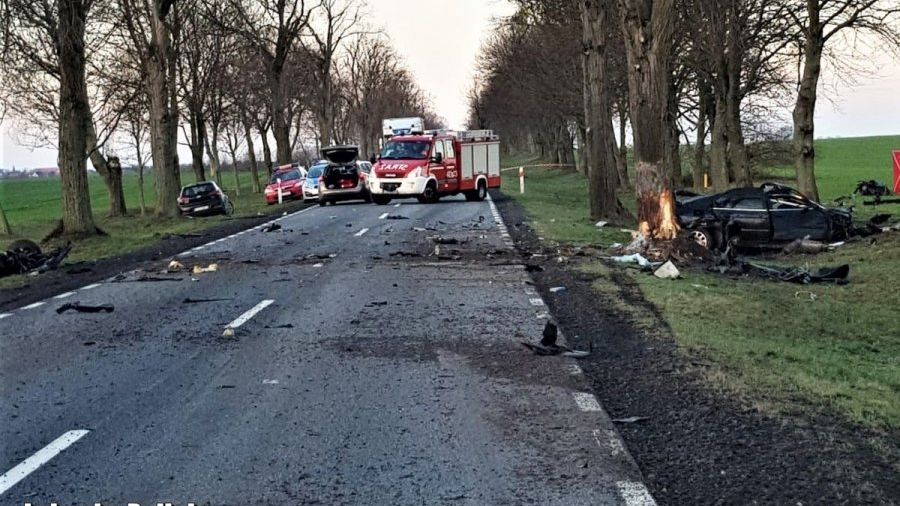 Wypadek na trasie Licheń - Strzelce Krajeńskie. To na tym odcinku kierowca z nieznanych przyczyn uderzył w przydrożne drzewo.