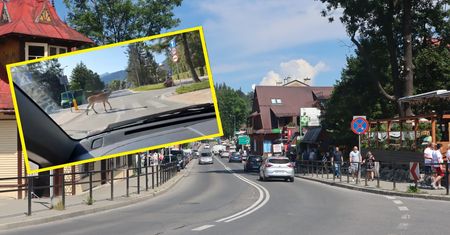 Przejeżdżał przez Zakopane. Na ten widok chwycił za telefon