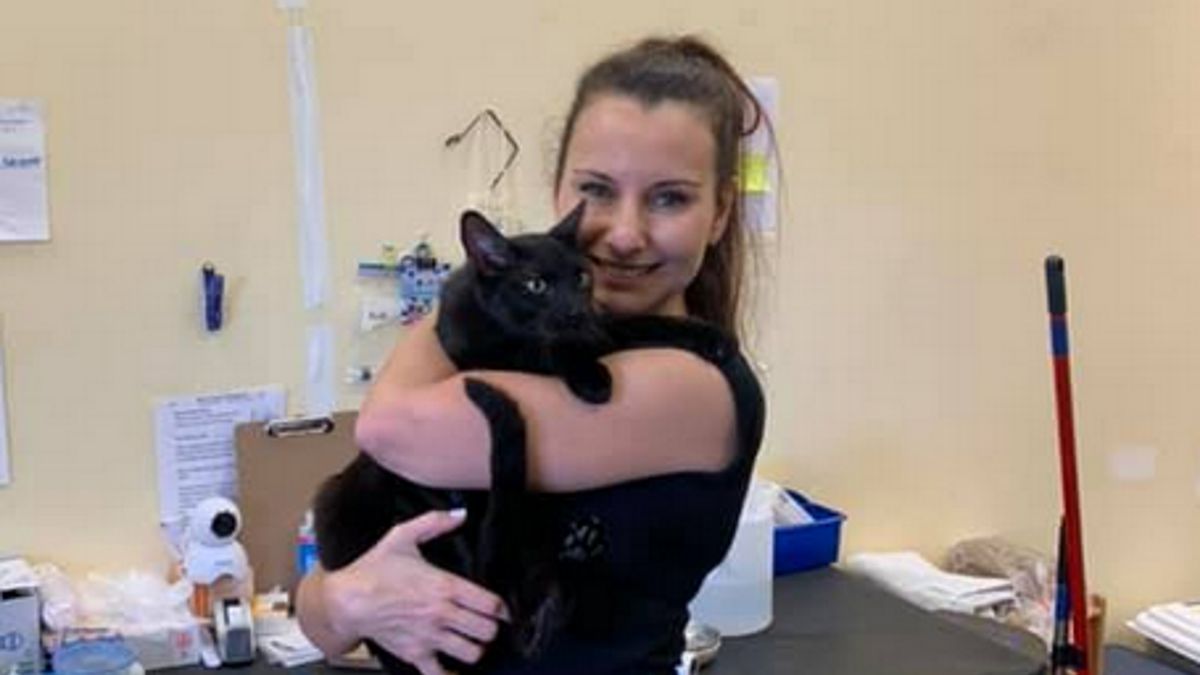 Kot, który przeżył