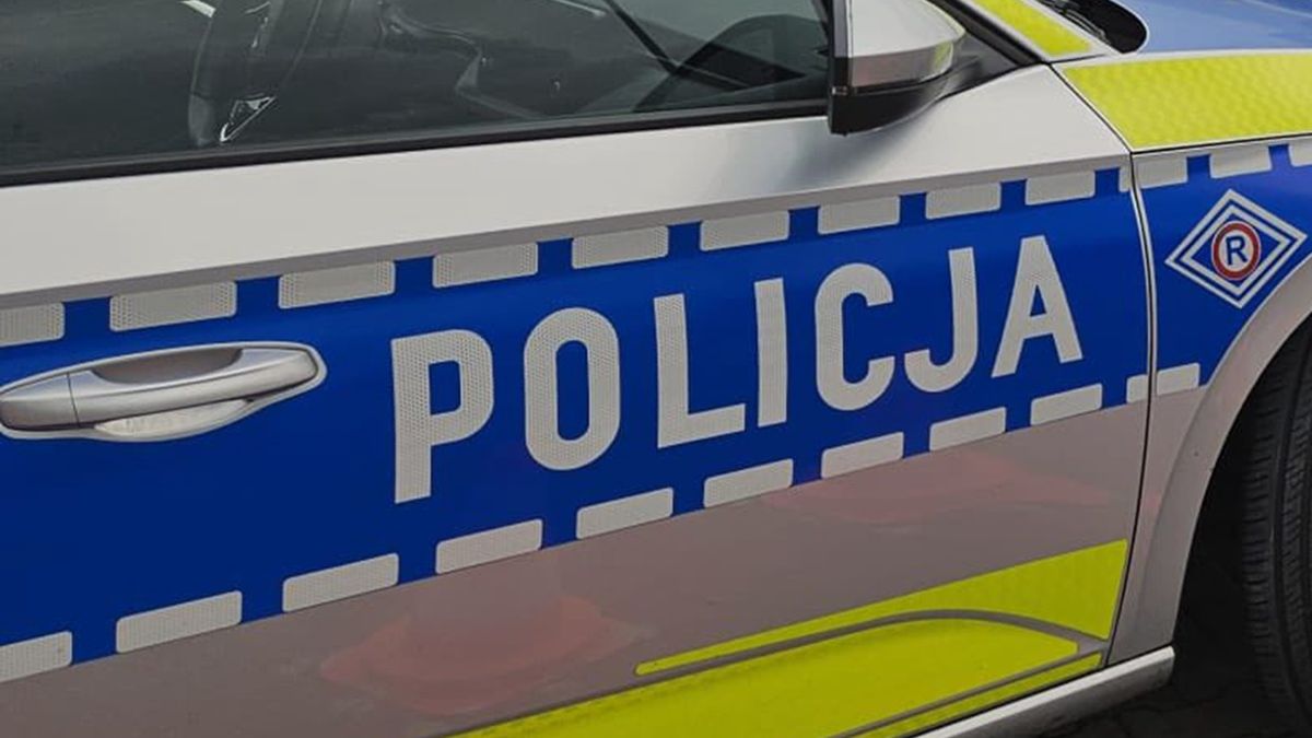 Policja prowadzi czynności w poznańskim lesie [zdj. ilustracyjne]