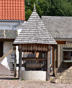 Pojawiają się głównie po zmroku. Musieli przez nie zamknąć skansen