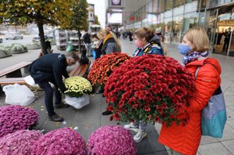 Rekompensaty za chryzantemy. Rząd zakłada zmiany