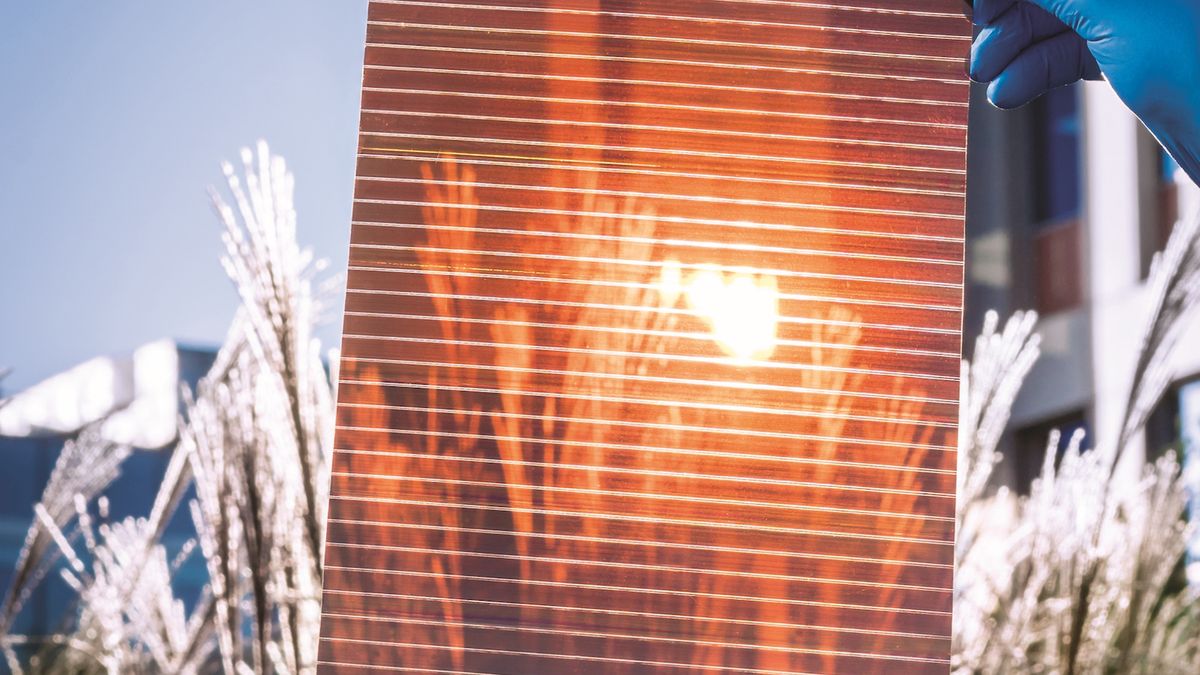 Perowskitowe ogniwa fotowoltaiczne Saule Technologies