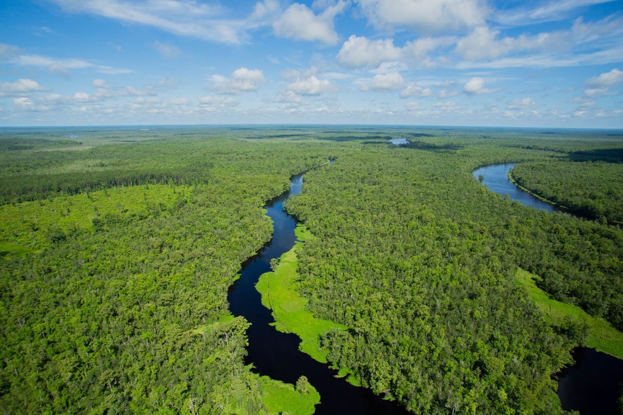 Mokradła kontra armia? Ekspert: natura wzmacnia naszą wschodnią granicę