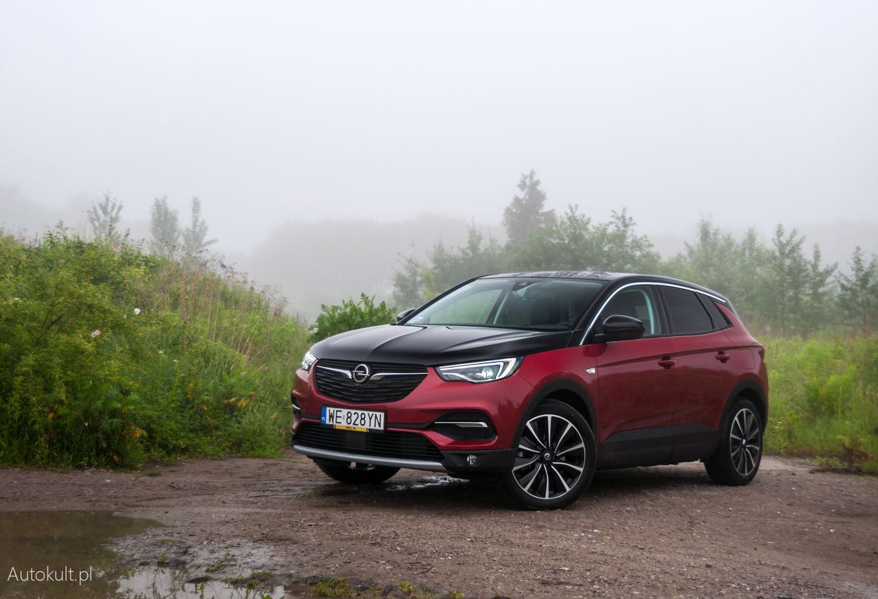 Test: Opel Grandland X Hybrid4. Czy naprawdę potrzebujesz aż 300 KM?