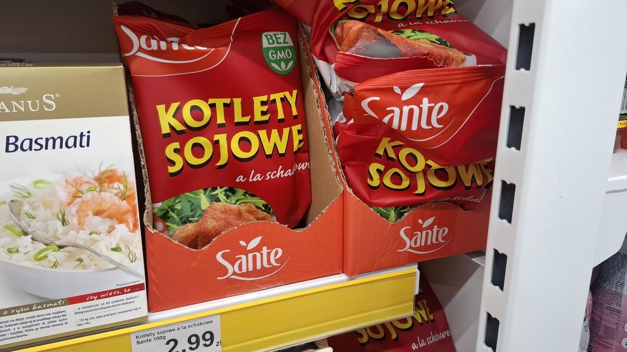 Kotlety sojowe z Dino