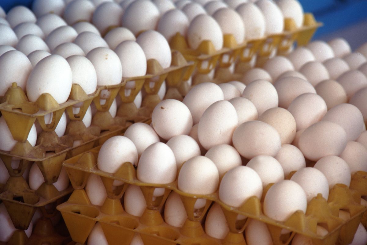 Czy jajka można jeść codziennie? Większość odpowiada źle na to pytanie