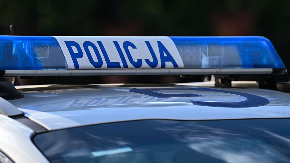 13-letnia Anand może przebywać z matką w Brazylii