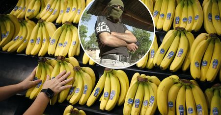 Słynny producent bananów ma zapłacić odszkodowanie za wspieranie terrorystów