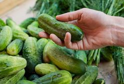 Co się stanie, jeśli będziesz jadł ogórki? Zmiany są zauważalne już przy 1 sztuce dziennie