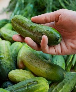 Co się stanie, jeśli będziesz jadł ogórki? Zmiany są zauważalne już przy 1 sztuce dziennie
