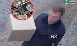 Przemycali narkotyki w przesyłkach pocztowych. Zatrzymano 9 osób