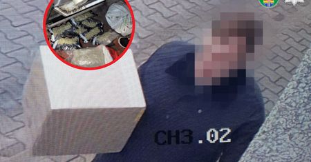 Przemycali narkotyki w przesyłkach pocztowych. Zatrzymano 9 osób