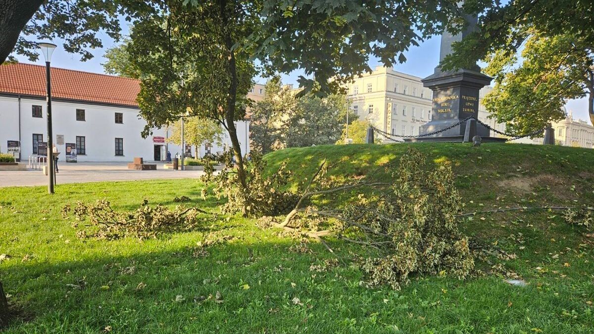 Połamane gałęzie przez burze na Placu Litewskim