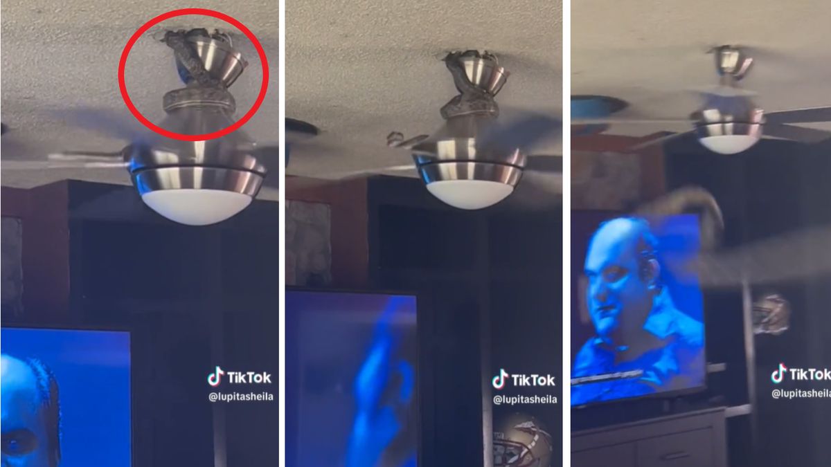 Mrożące krew w żyłach nagranie stało się viralem