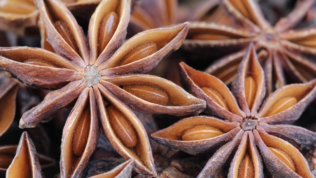 Anyż zapobiega dolegliwościom. Pomaga między innymi na niestrawność, bóle głowy i czkawkę