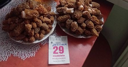 Polak wszedł w czeski las. Pokazał, co nazbierał. Dołączył karteczkę