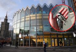 Przykry widok tuż obok Rotundy. Kilkanaście martwych ptaków