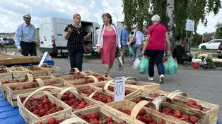 Targ w Tarnobrzegu w środę 27 maja. Co i za ile można dostać? Ceny truskawek w dół!