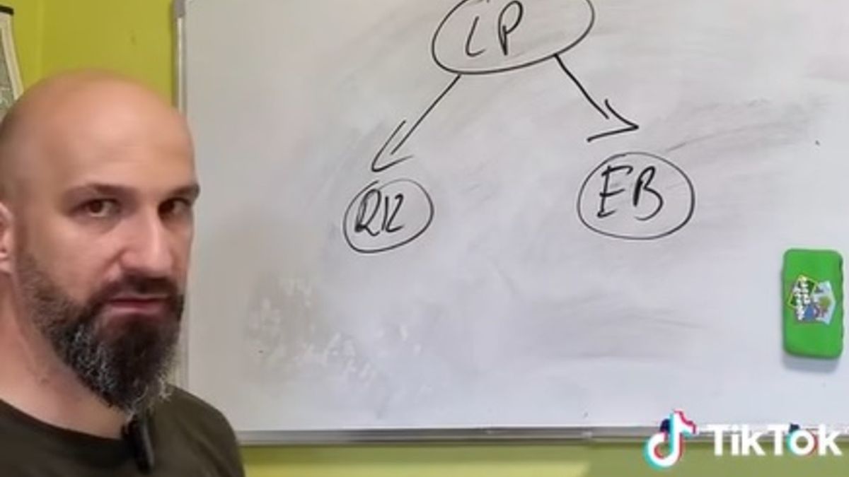 Lasy Państwowe tłumaczą, na czym polega sprzedaż drewna