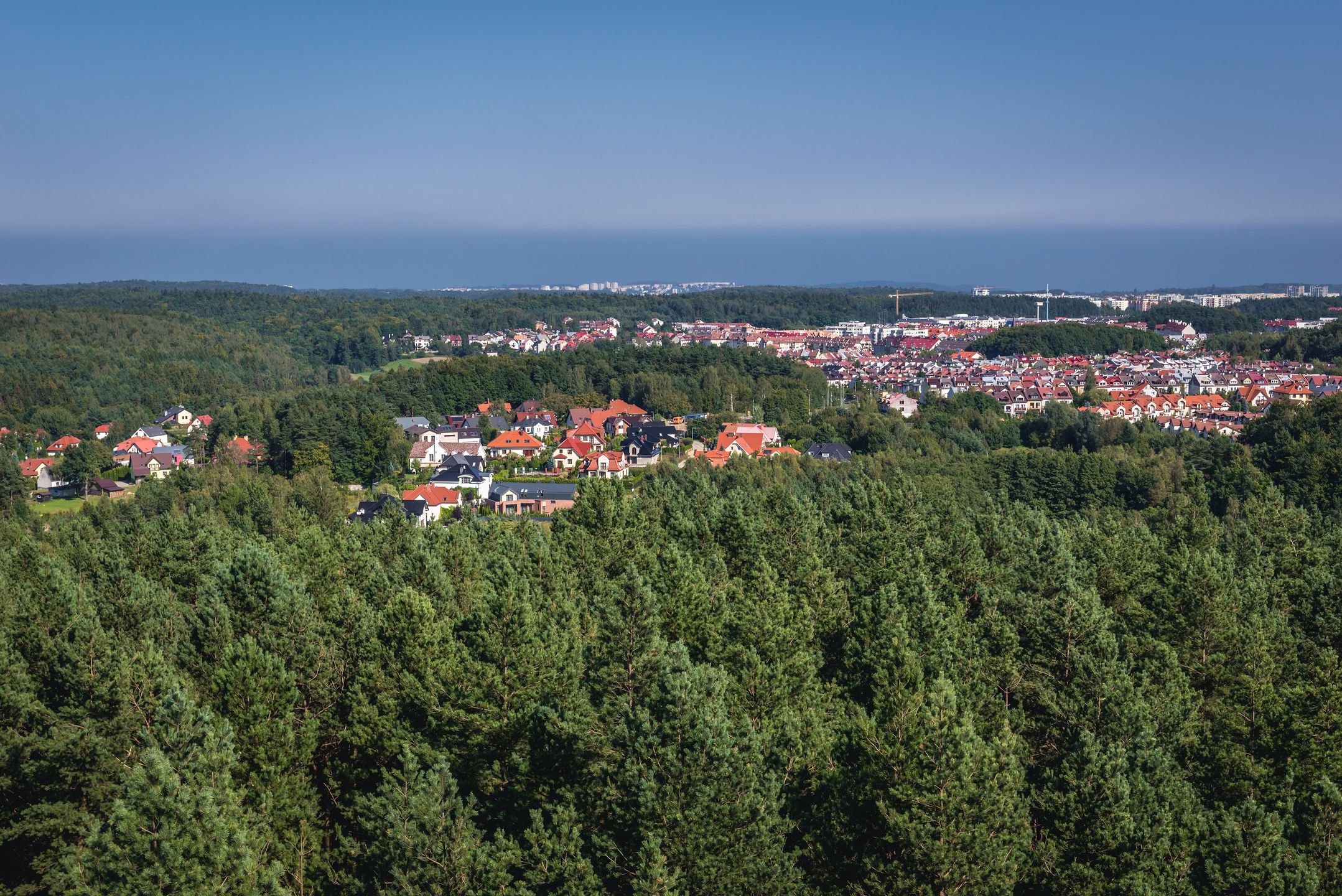 Widok z góry Donas
