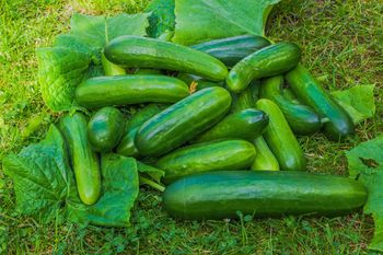 Polska "zalewa" Ukrainę. Chodzi o jeden produkt. Skupują hurtowo