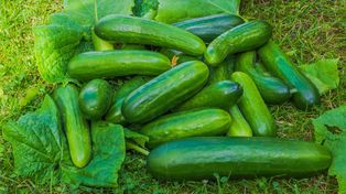 Polska "zalewa" Ukrainę. Chodzi o jeden produkt. Skupują hurtowo