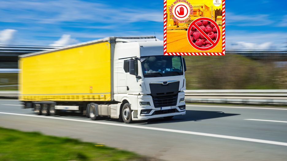 IJHARS zatrzymał maliny z Ukrainy