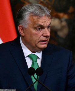 Bojkot PiS w Brukseli. Chcą przeciągnąć Orbana